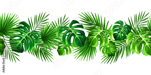 Vector tropical horizontal seamless border with green monstera and palm leaves on a white background.