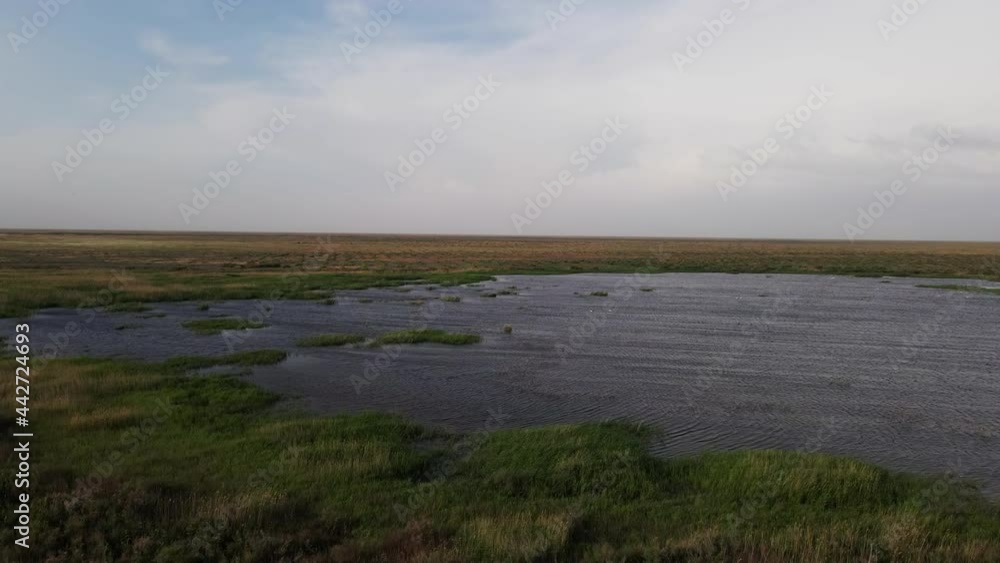 Lake at Horizonless Grassy Plain. Aerial View