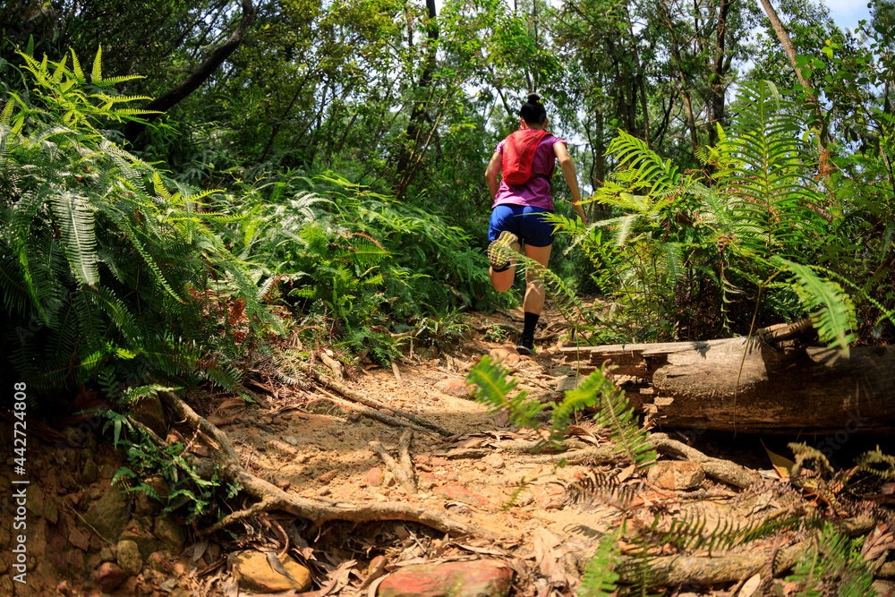 © lzf - Ultramarathon runner cross country trail running in summer tropical rainforest