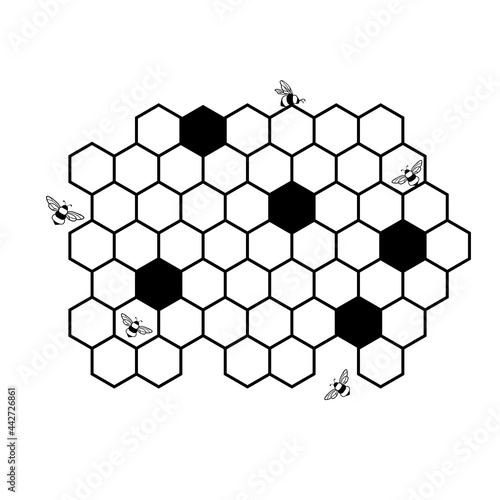 Honeycomb and bee. Black and white vector illustration is isolated on a white background.