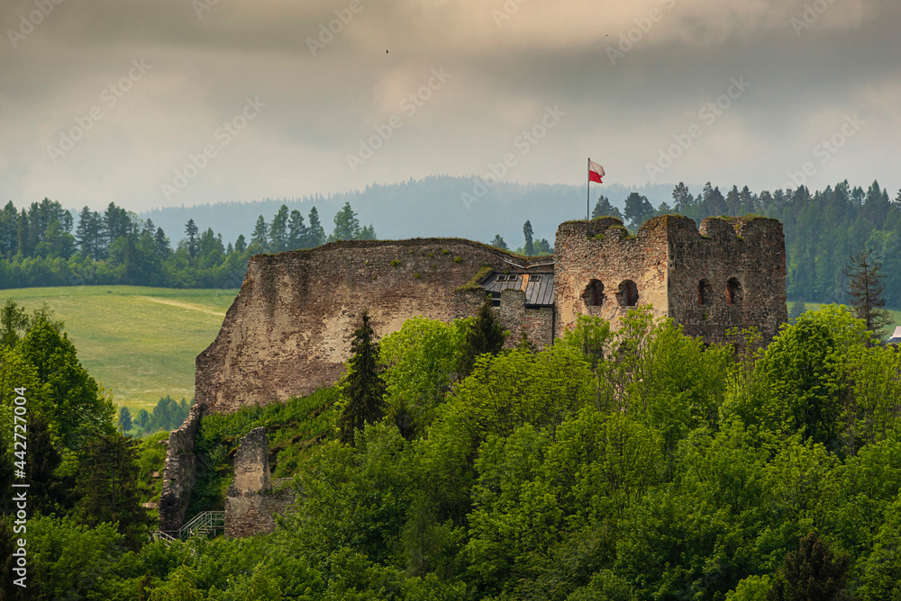 Beautiful landscape panorama in Podhale with Czorsztyn Castle, Poland