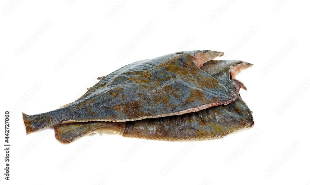 Fototapeta premium Two ready to cook fresh flatfish on a white background