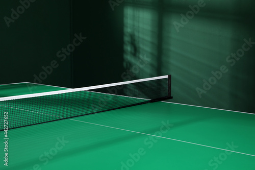 Green ping pong table with net in room, closeup