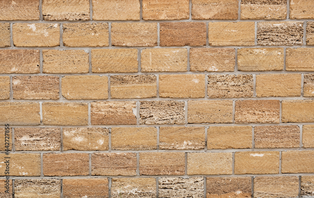Obraz premium Shell rock brick wall texture