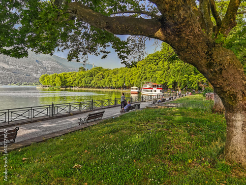ioannina city in the summer trees by the lake pamvotis greece