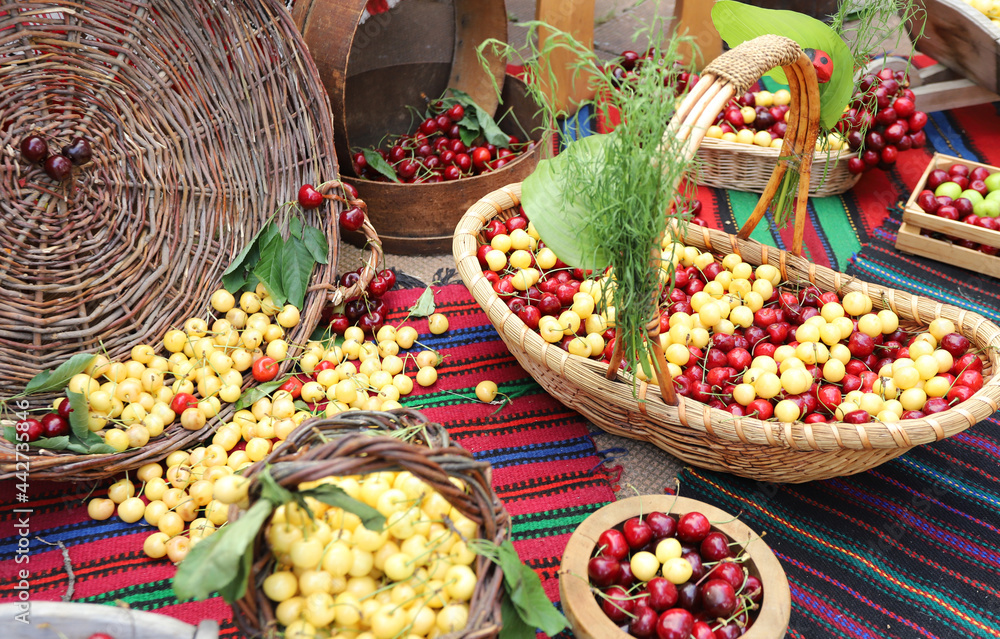 White and red cherries in wicker basket, cherry festival. Selective focus