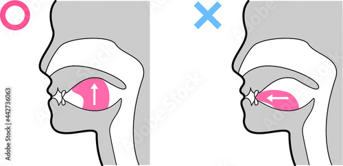 正しい舌の位置