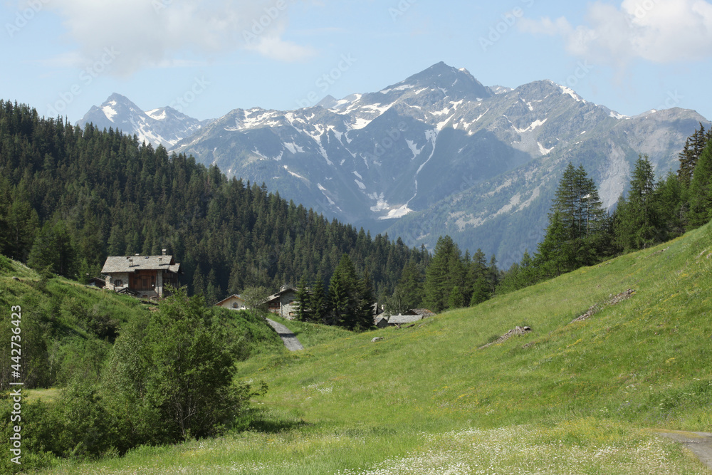 scenic view on a mountain panorama on Italian Alps with copy space for your text