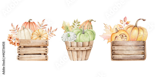 Pumpkins in wooden box.Autumn composition