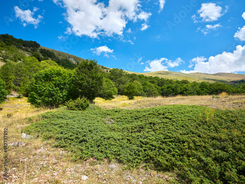 Passo Godi in the Abruzzese Apennines..Pastures and woods in the valley of Passo Godi at the foot of Monte Sella Rocca Chiarano which is a peak of the Marsicani Mountains photo