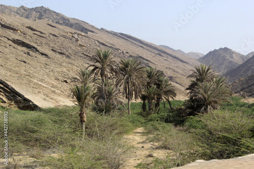 Hingol national park balochistan mountain beach roads animals house  photo