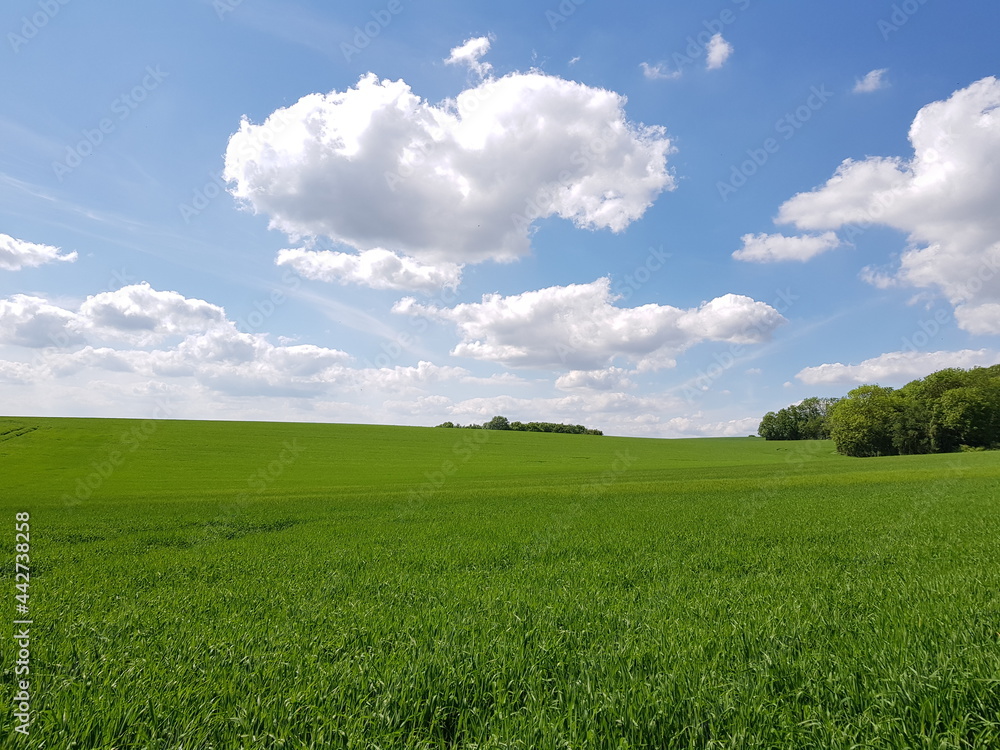 Windows wallpaper like views on fields in Linton village in Cambridgeshire