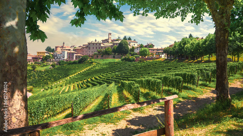 Neive village and Langhe vineyards  Unesco Site  Piedmont  Northern Italy Europe.