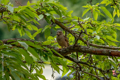 the Jack sparrow of this neighborhood © Air Footy