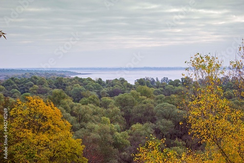 Fototapeta Naklejka Na Ścianę i Meble -  Лес в пойме Тщикского водохранилища 