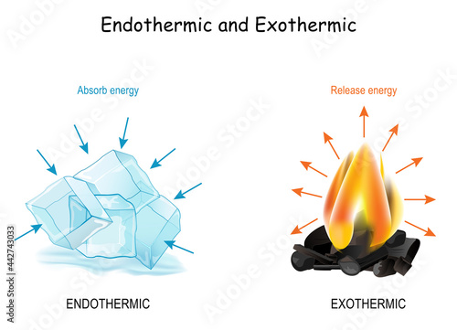 Endothermic and Exothermic chemical reactions