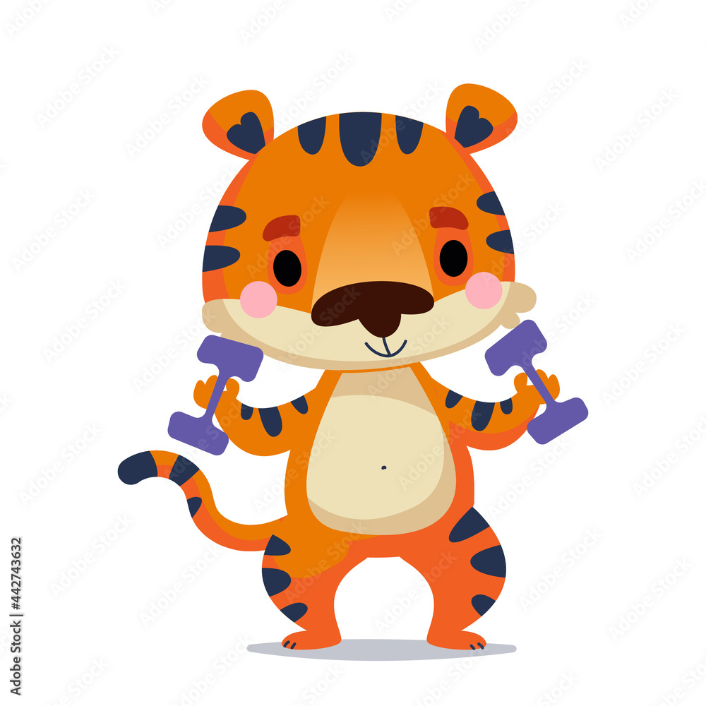 The tiger cub holds dumbbells with his paws for sports. Fitness training of animals. Vector illustration in kids cartoon style. Isolated funny clipart on a white background. Children s baby print The tiger cub holds dumbbells with his paws for sports. Fitness training of animals. Vector illustration in kids cartoon style. Isolated funny clipart on a white background. Children s baby print