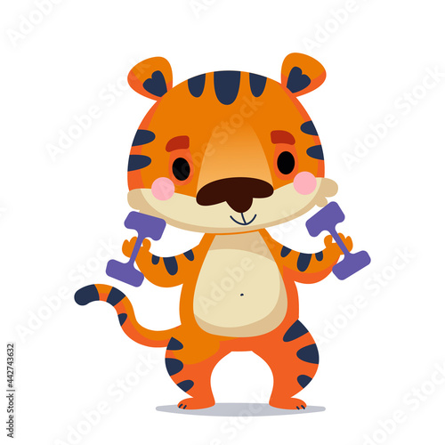 The tiger cub holds dumbbells with his paws for sports. Fitness training of animals. Vector illustration in kids cartoon style. Isolated funny clipart on a white background. Children s baby print