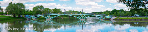 Left-bank bridge over the pond in the Tsaritsyno Museum-Reserve - panorama © Shauerman