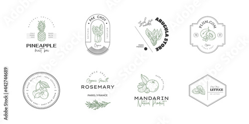 Healthy food logo template. Hand drawn illustrations for for restaurant, bar, vegan, healthy and organic food, market, farmers market, cooking school, food truck, delivery service.