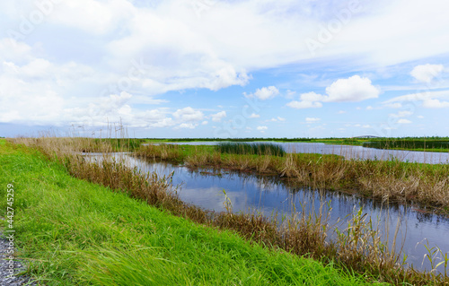 The horizon over land seen from the Cameron Prairie National Wildlife Refuge, a wild beautiful place to see wildlife and native Louisiana wild plants and grasses