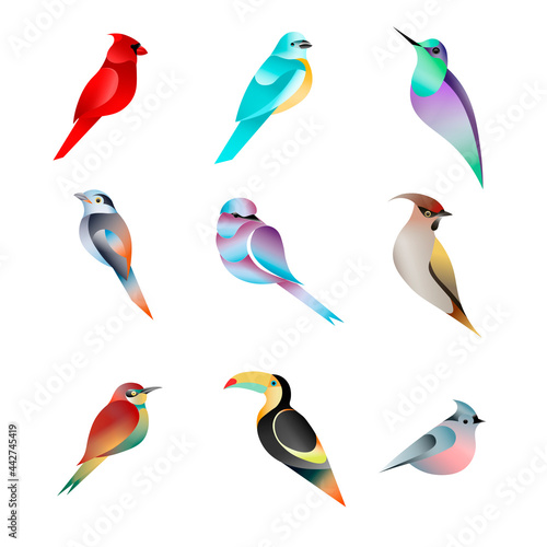 set of birds