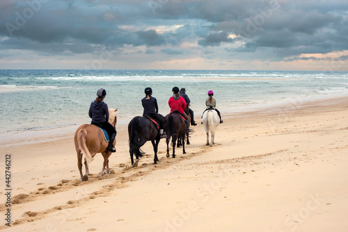 group of horse riders riding horses on the beach