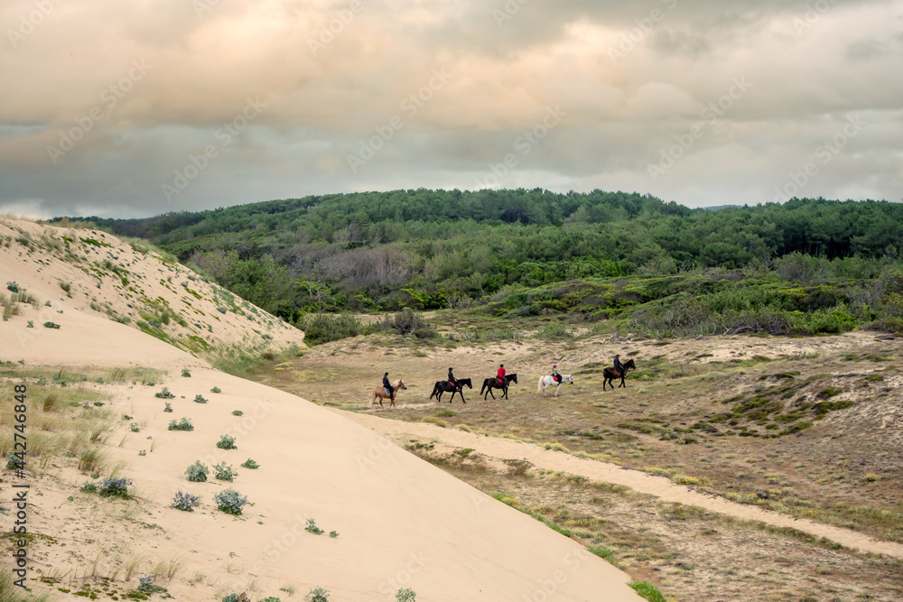 Obraz premium group of horse riders riding horses on the sand dunes