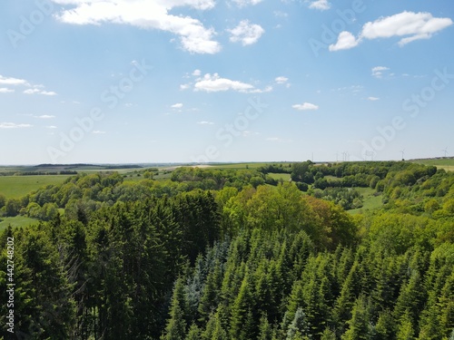 Aerial view of forest with nice blue cloudy sky 