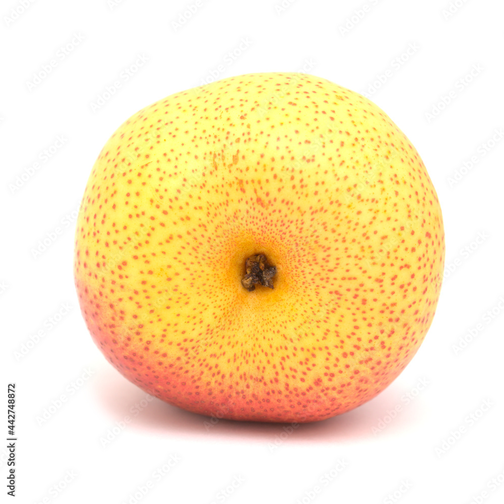 Fototapeta premium Large very round yellow and red pear fruit isolated on white background