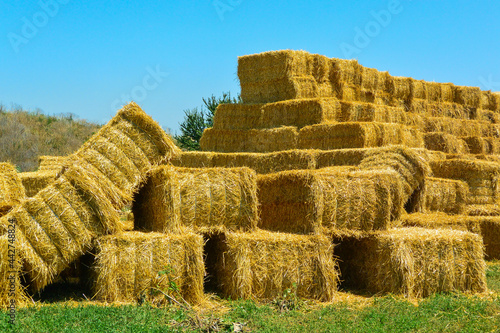 Fototapeta Dry hay in stack  on farm field. Big haystack harvest