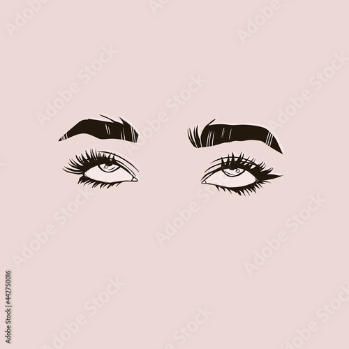 Beautiful rolled up female Eyes with long Eyelashes and eyebrows. Close up passionate fashion look. Hand drawn Vector illustration. Brow bar, beauty salon concept. Logo, poster or print template