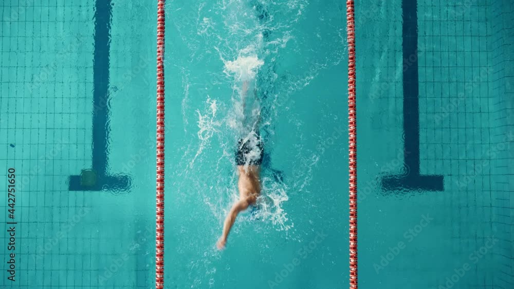 Aerial Top View Male Swimmer in Swimming Pool, Makes Laps, Turns. Professional Athlete Training for Race, Winning World Championship Freestyle. Cinematic Wide Slow Motion Stationary Shot
