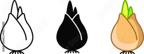 flower bulbs icon , vector 