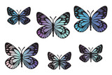 Butterflies black outlines silhouette set with modern gradient. Clip art on white 