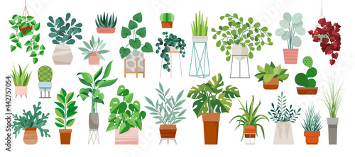 Fotografie, Obraz Set of trendy potted plants for home