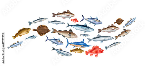 Sea Fish Realistic Concept