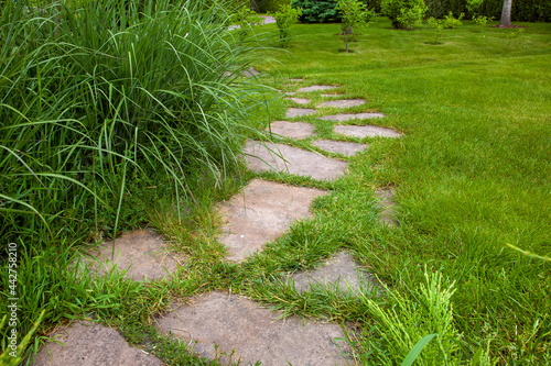 rough different shapes of neutral stone path paved in green backyard lawn, curved backyard walkway landscaping with plants, nobody.