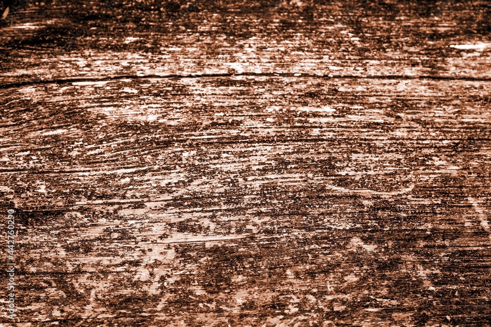 Obraz premium Texture.