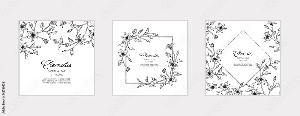Hand drawn clematis floral greeting card background..