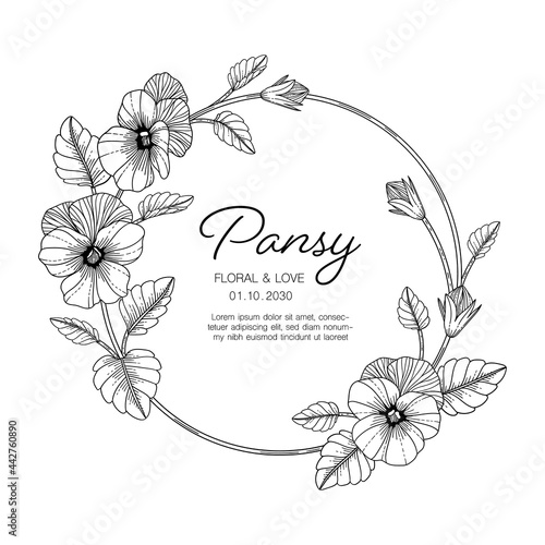 Hand drawn pansy floral greeting card background..