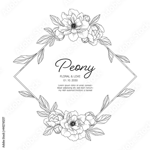 Hand drawn peony floral greeting card background..