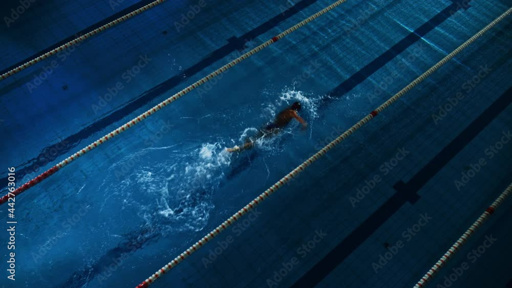 Female Swimmer Racing in Swimming Pool. Professional Athlete Determined ...