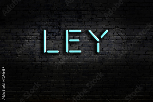 Night view of neon sign on brick wall with inscription ley photo