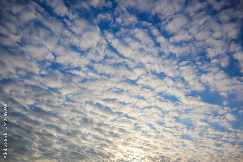 beautiful cloud landscape background against the blue of the winter sky looks unusually beautiful and has cloud pattern that is rarely seen at regular intervals. beautiful patterned clouds background