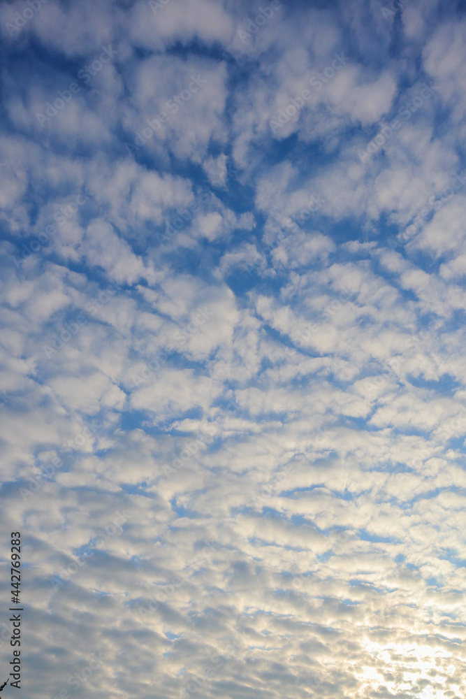 White clouds are forming beautifully across the blue sky with dramatic contrasts and a rare cloud pattern in winter. beautiful scenery background of white clouds on blue background in winter White clouds are forming beautifully across the blue sky with dramatic contrasts and a rare cloud pattern in winter. beautiful scenery background of white clouds on blue background in winter