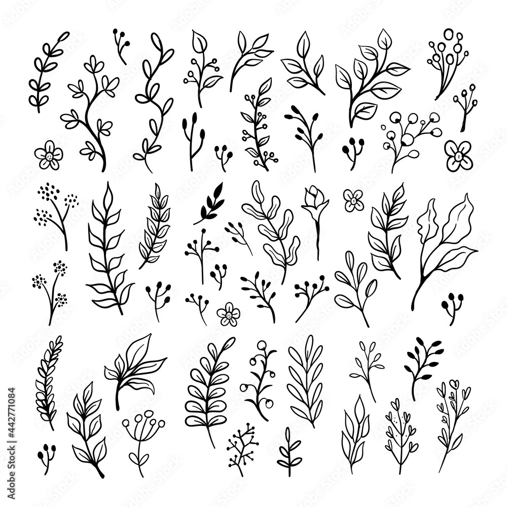 Fototapeta premium Floral ornaments doodle set. Hand drawn tree branches with leaves and flowers