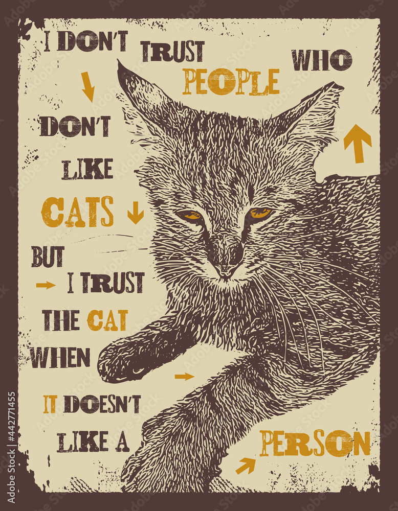 I can like a cat. The cat like one.