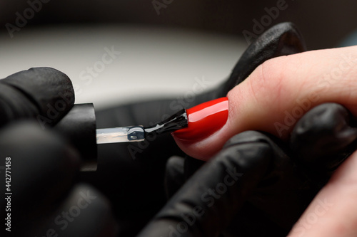 Nail care and manicure of beautiful female hands close-up. Manicure process in a beauty salon. The master applies a decorative bright red varnish with a brush to the nail plate. Cosmetic procedure.