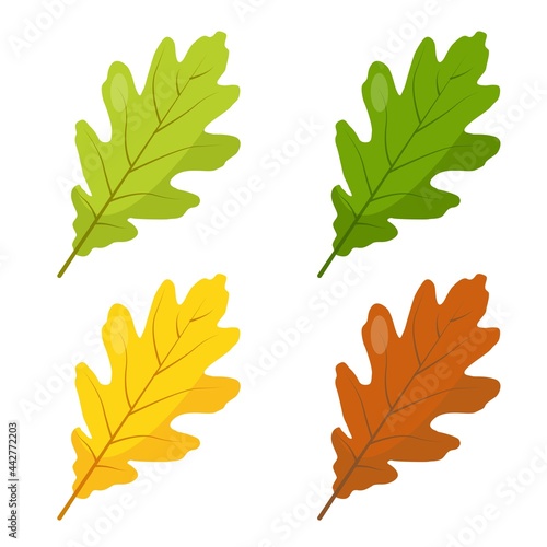 Multicolored Oak leaves icons isolated on white background.
